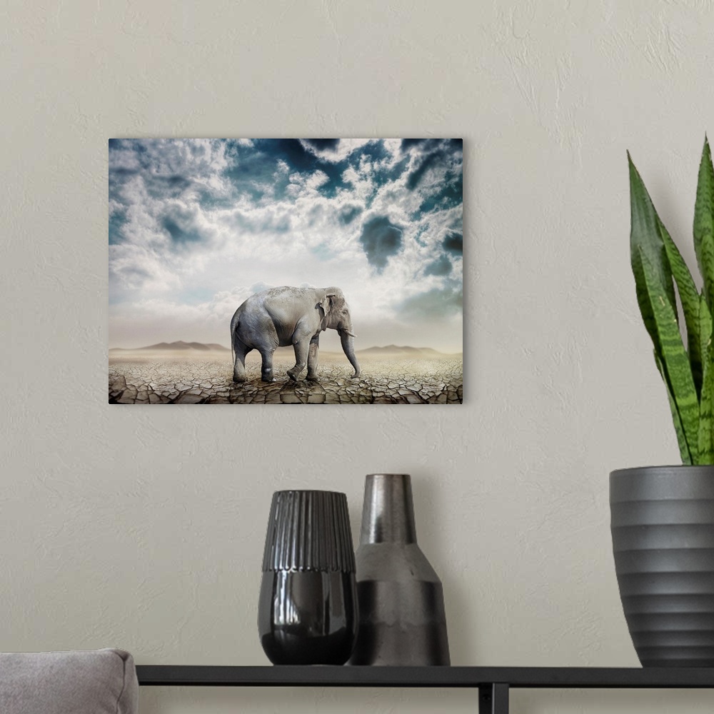A modern room featuring Elephant In The Desert
