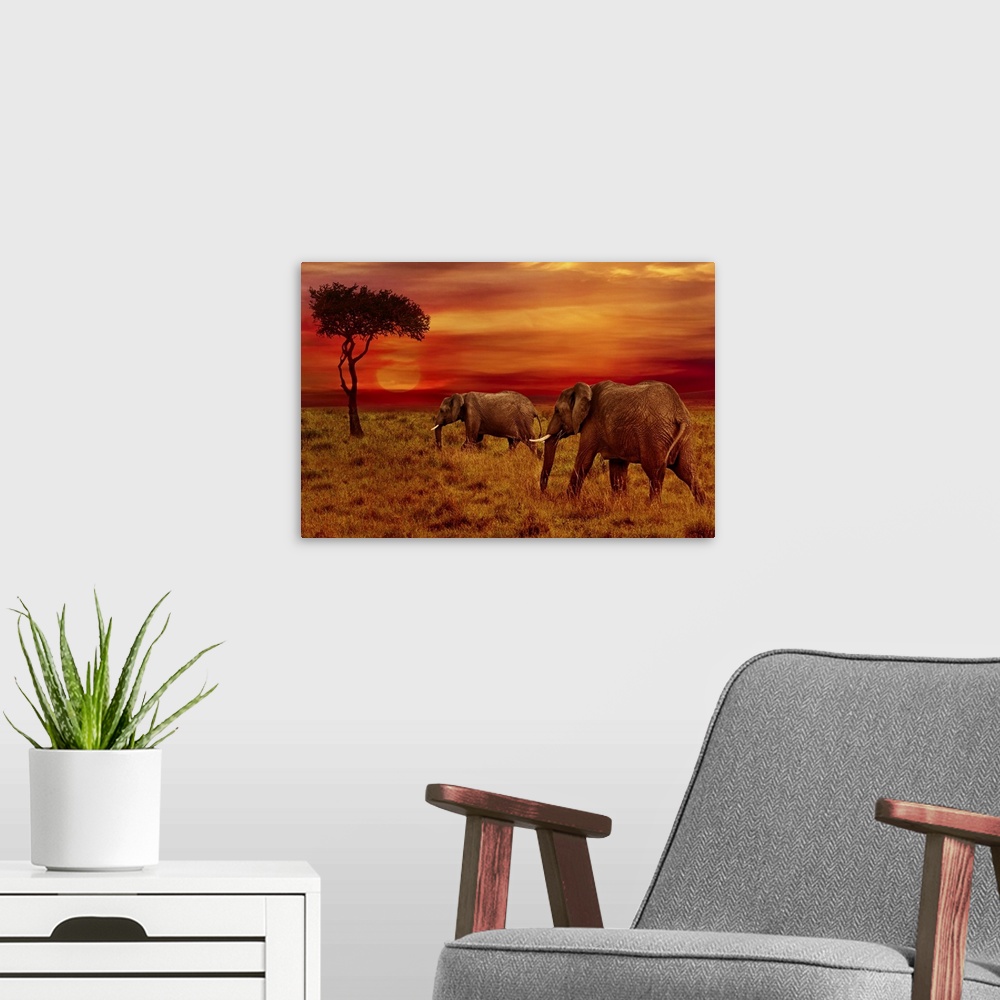 A modern room featuring Elephants At Sunset, Africa