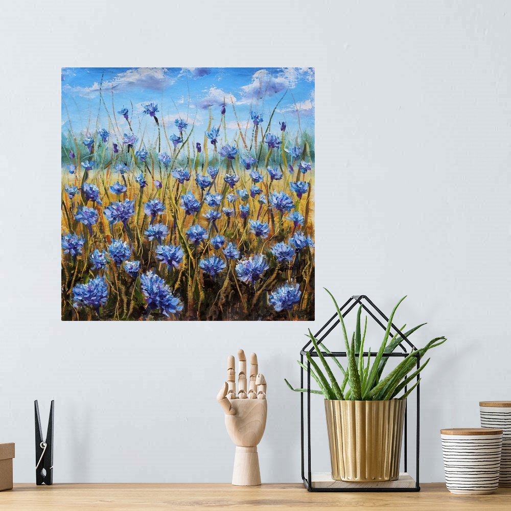 A bohemian room featuring Flower field. Blue flowers in the meadow. Blue sky with white clouds. Green forest in the distanc...