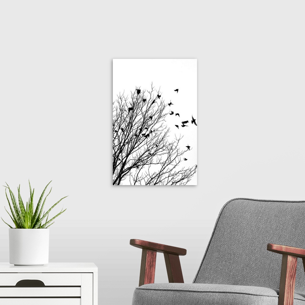 A modern room featuring Black and white image of birds flying off a tree.