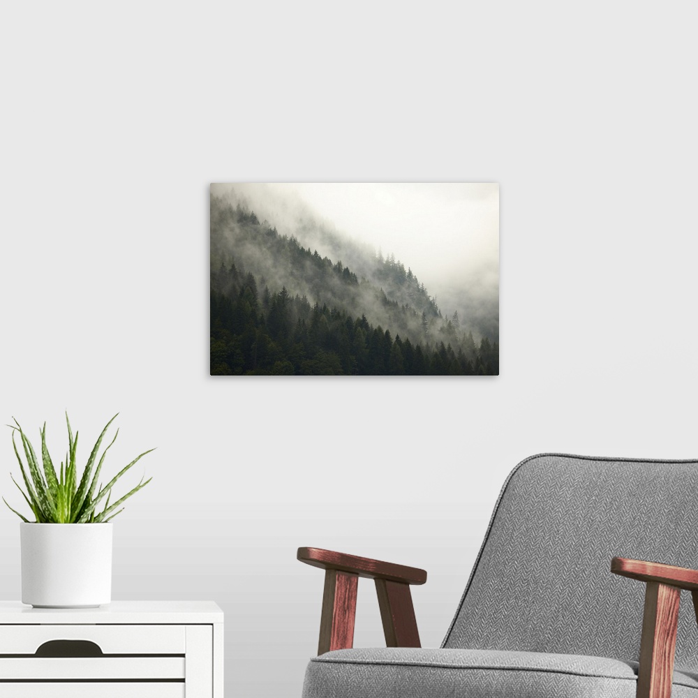 A modern room featuring Fog in the mountain forests.