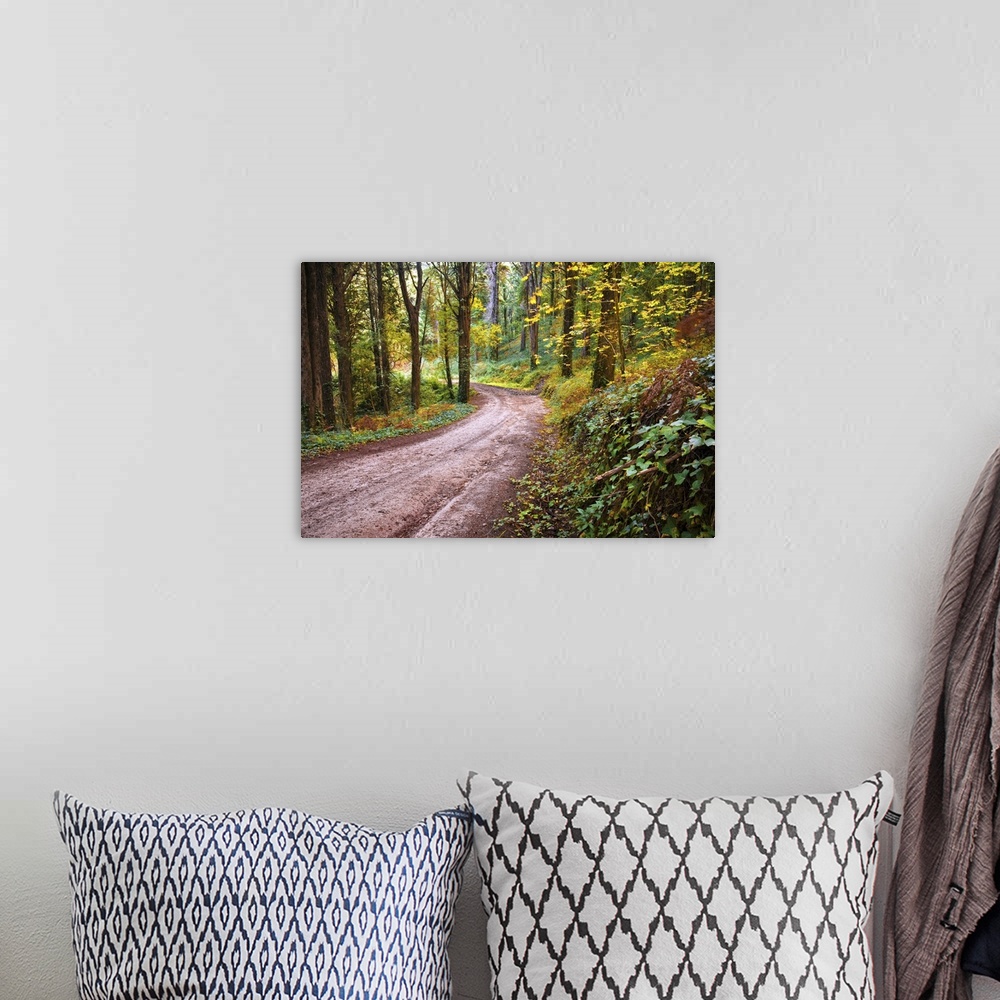 A bohemian room featuring Forest landscape with a trekking footpath in the fall.
