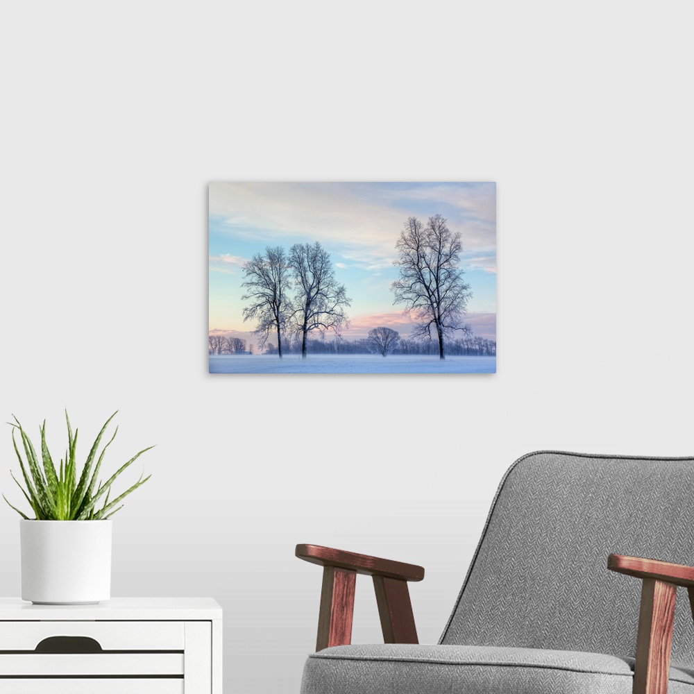 A modern room featuring Rural winter landscape of lightly frosted trees and ground fog, Michigan, USA.