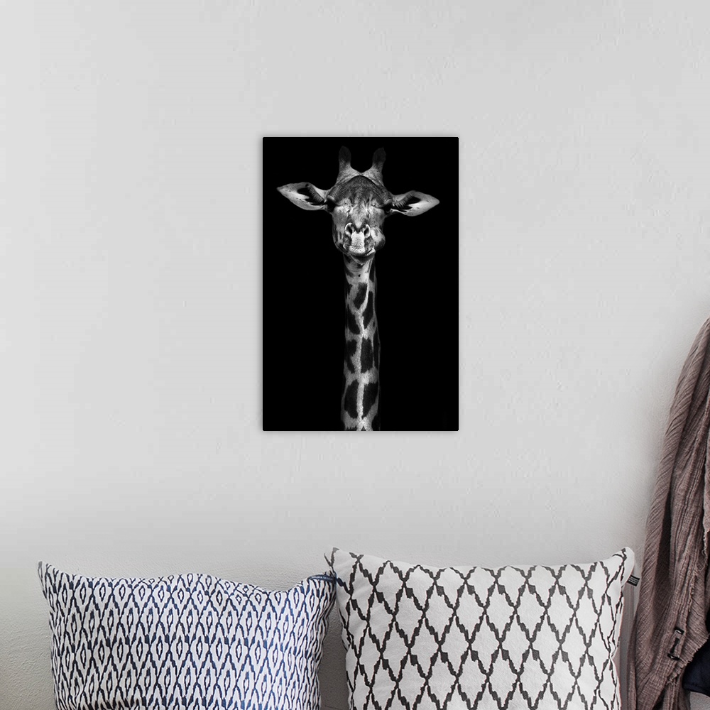 A bohemian room featuring Creative black and white image of a Thorneycroft giraffe.
