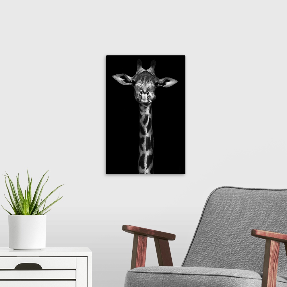 A modern room featuring Creative black and white image of a Thorneycroft giraffe.