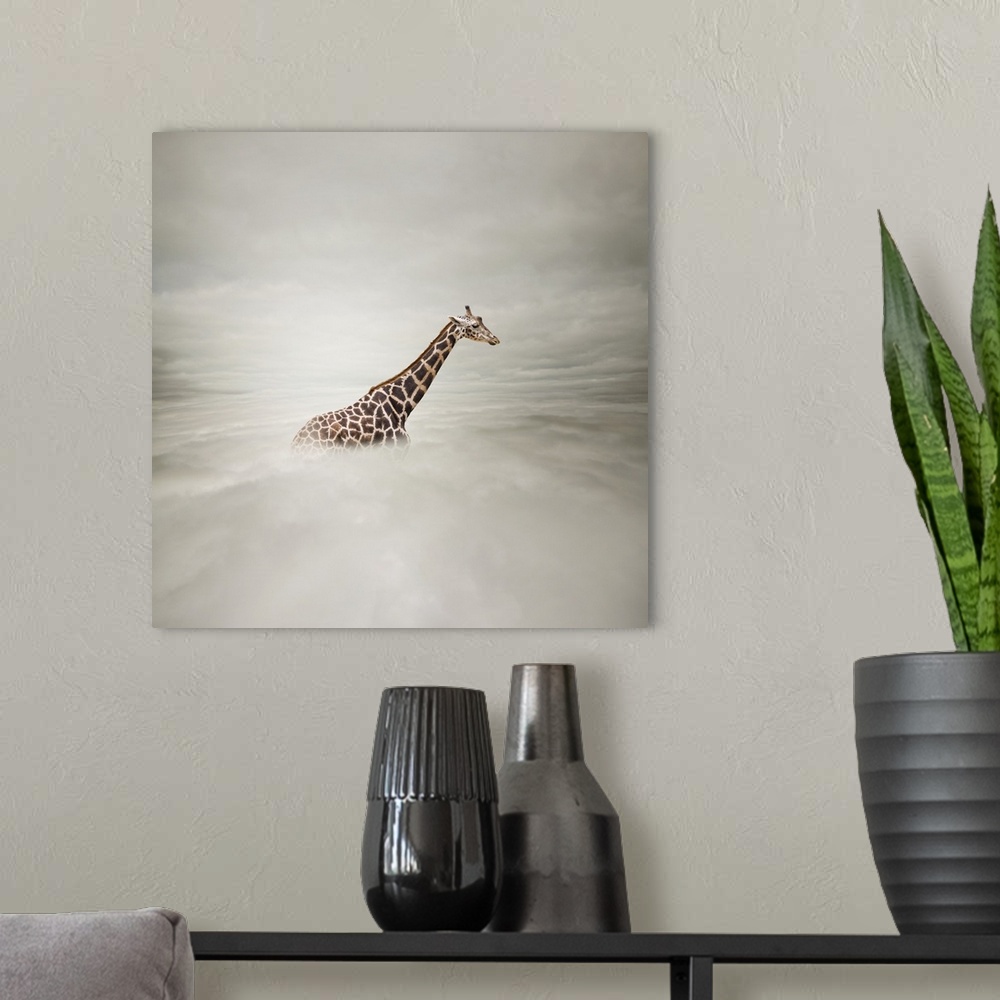 A modern room featuring Giraffe in the sky.