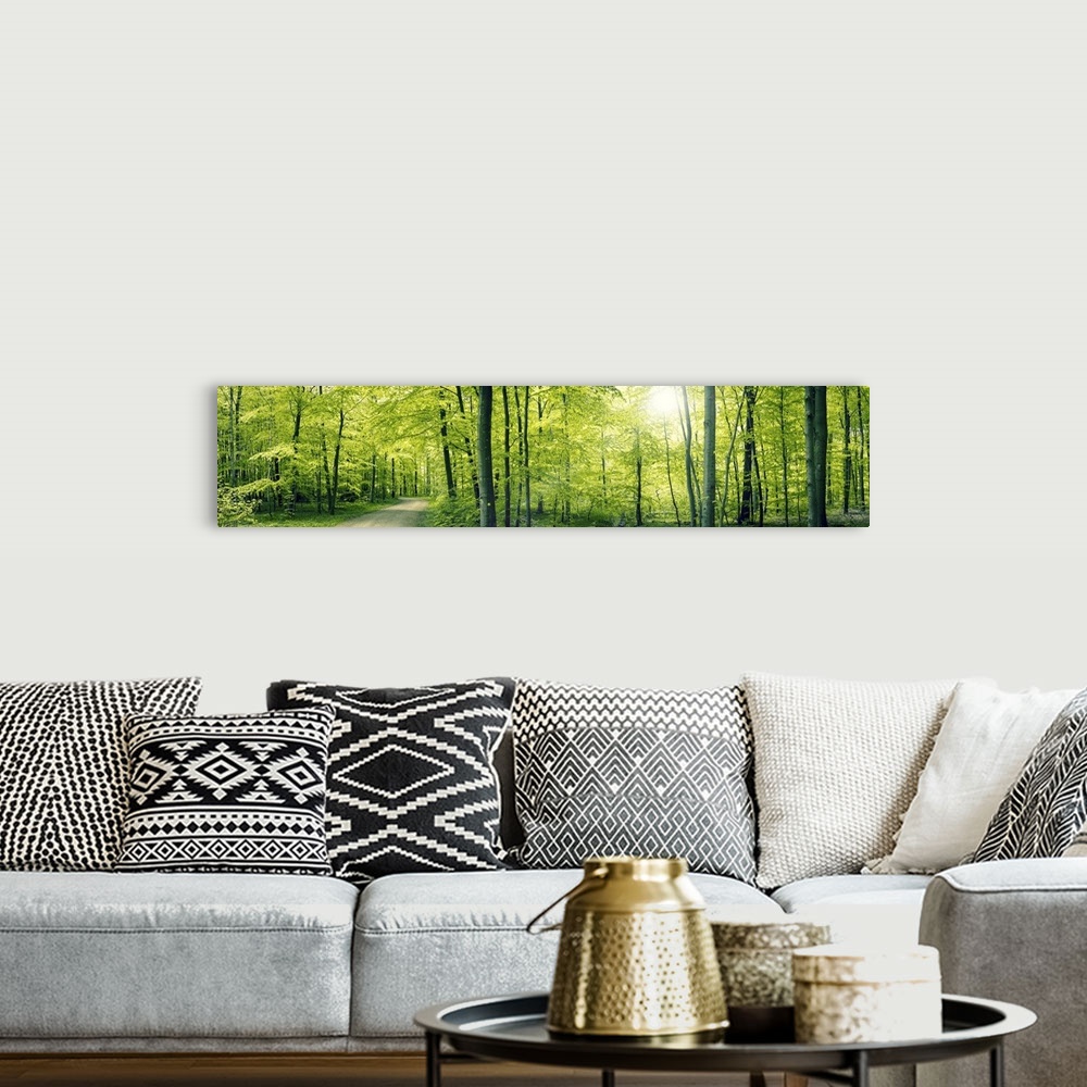 A bohemian room featuring Panorama landscape of a beech forest in the spring.