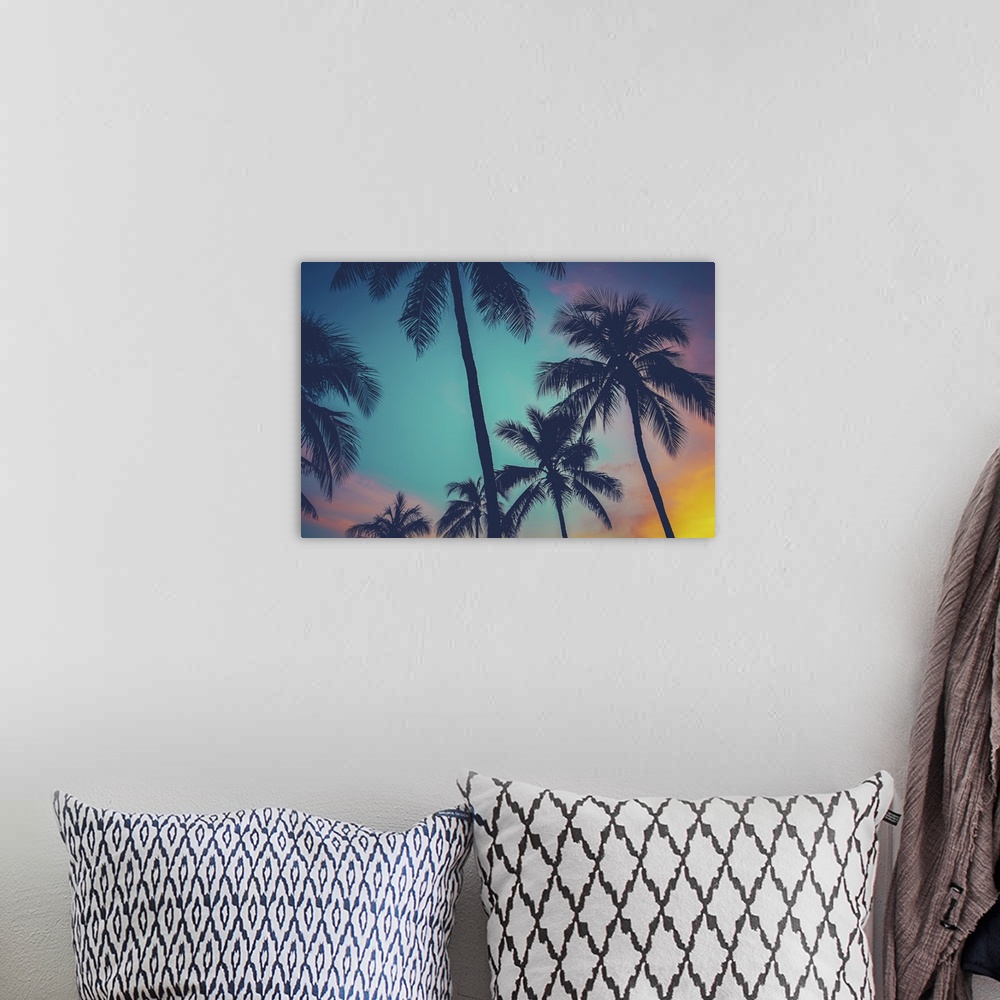 A bohemian room featuring Vintage, retro filtered Hawaii palm trees at sunset.