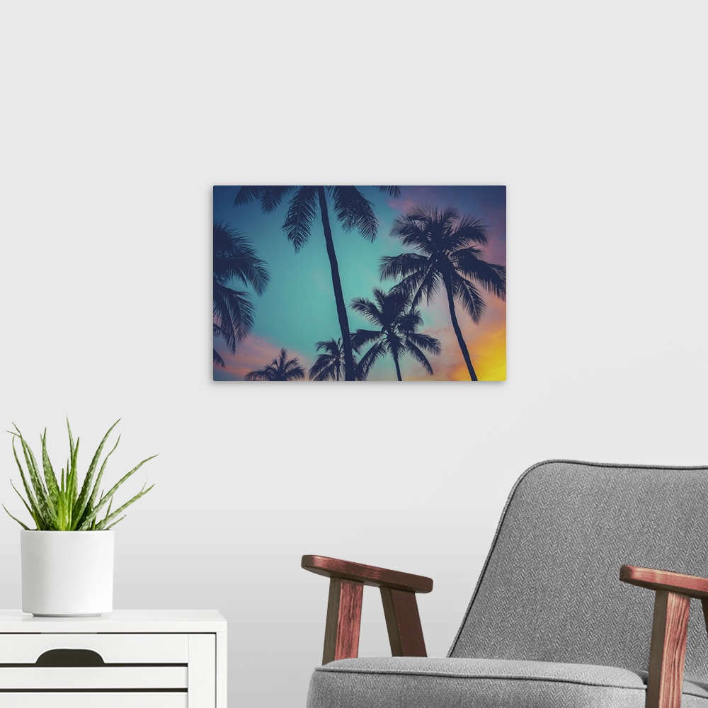 A modern room featuring Vintage, retro filtered Hawaii palm trees at sunset.