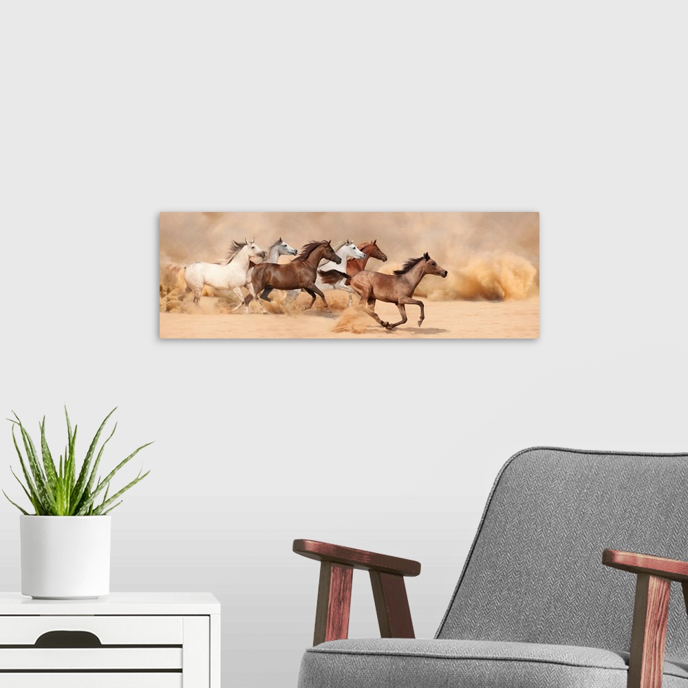 A modern room featuring A herd gallops in the sand storm.