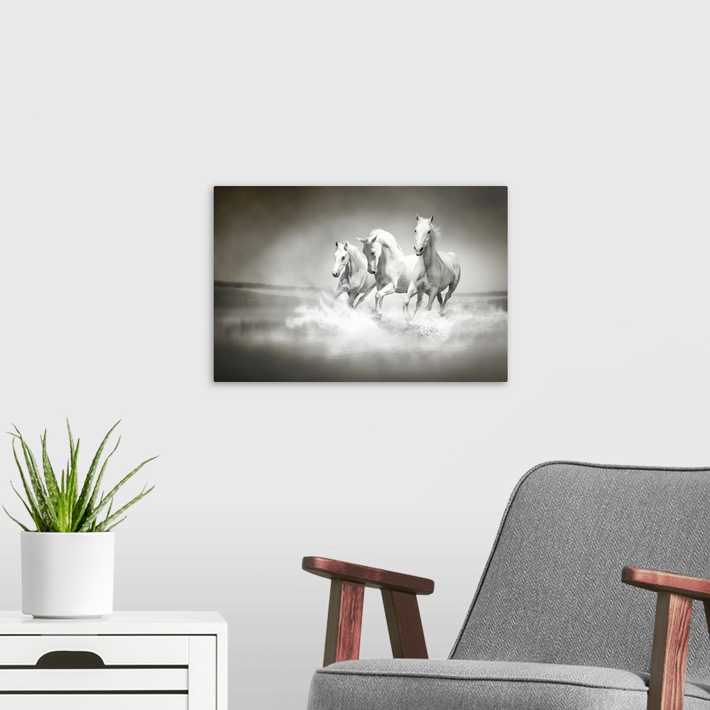 A modern room featuring Photo of a herd of white horses running through water.