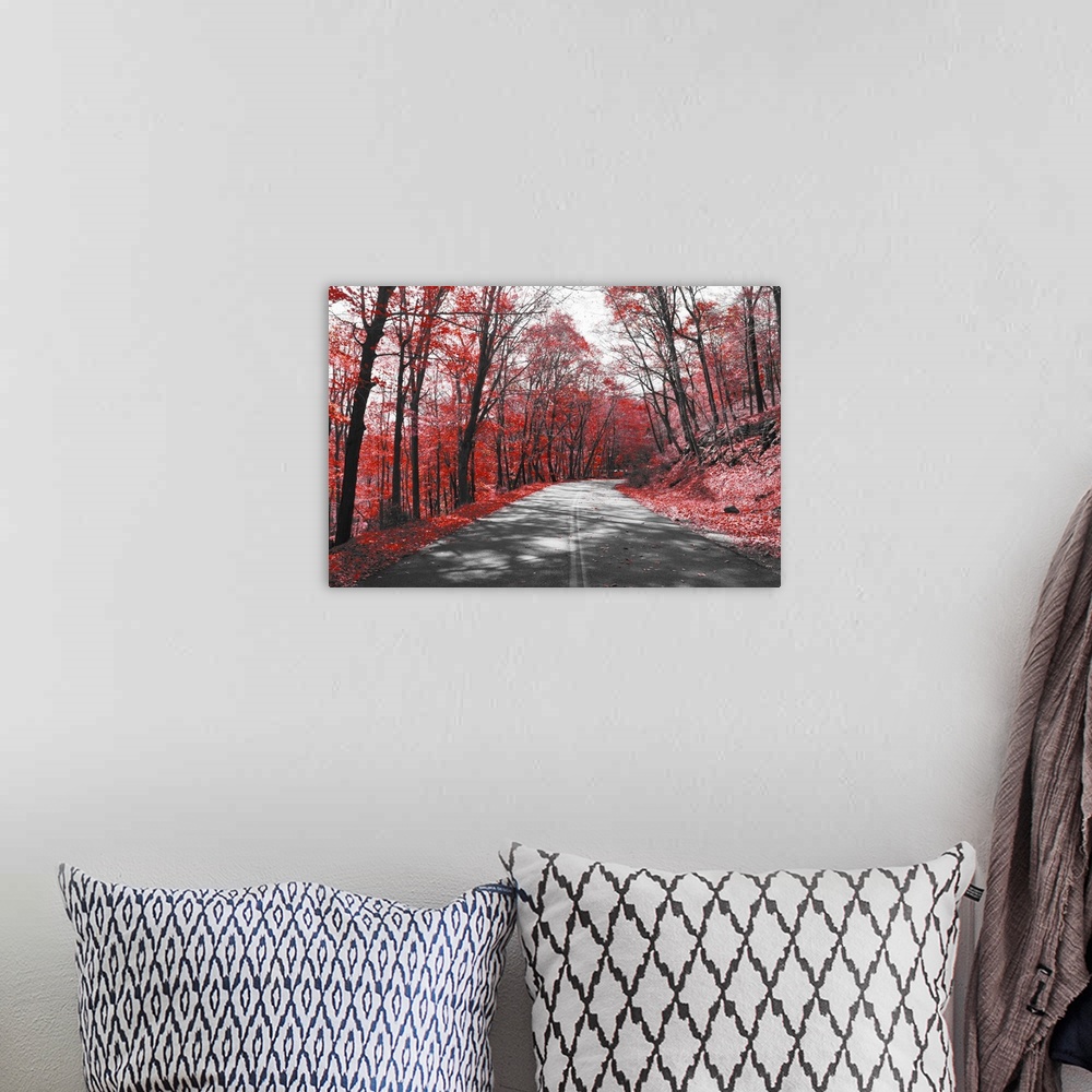 A bohemian room featuring Empty highway through red forest in black and white landscape.