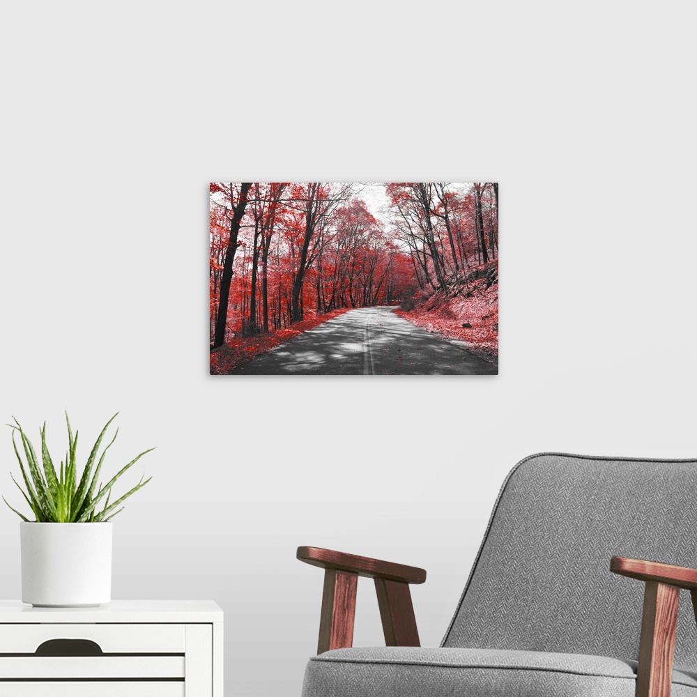 A modern room featuring Empty highway through red forest in black and white landscape.