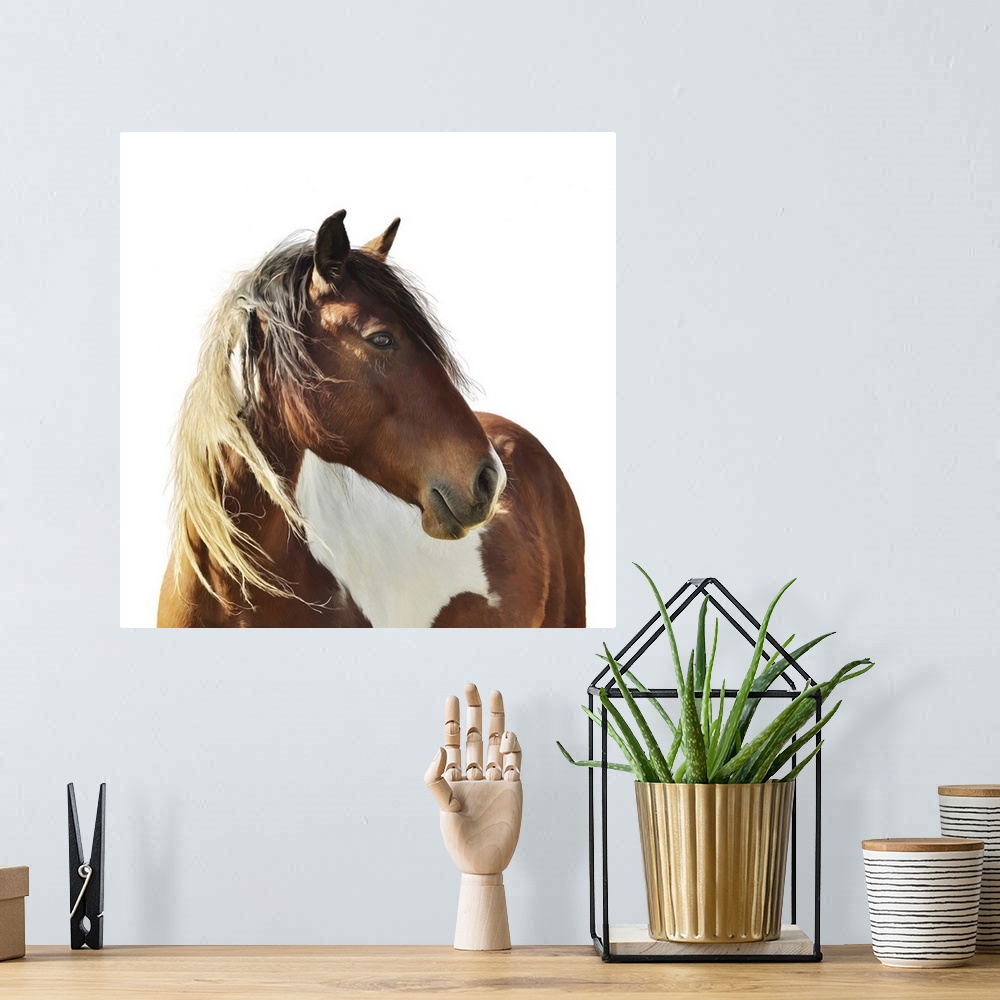 A bohemian room featuring Originally a digital painting of paint horse on white background.