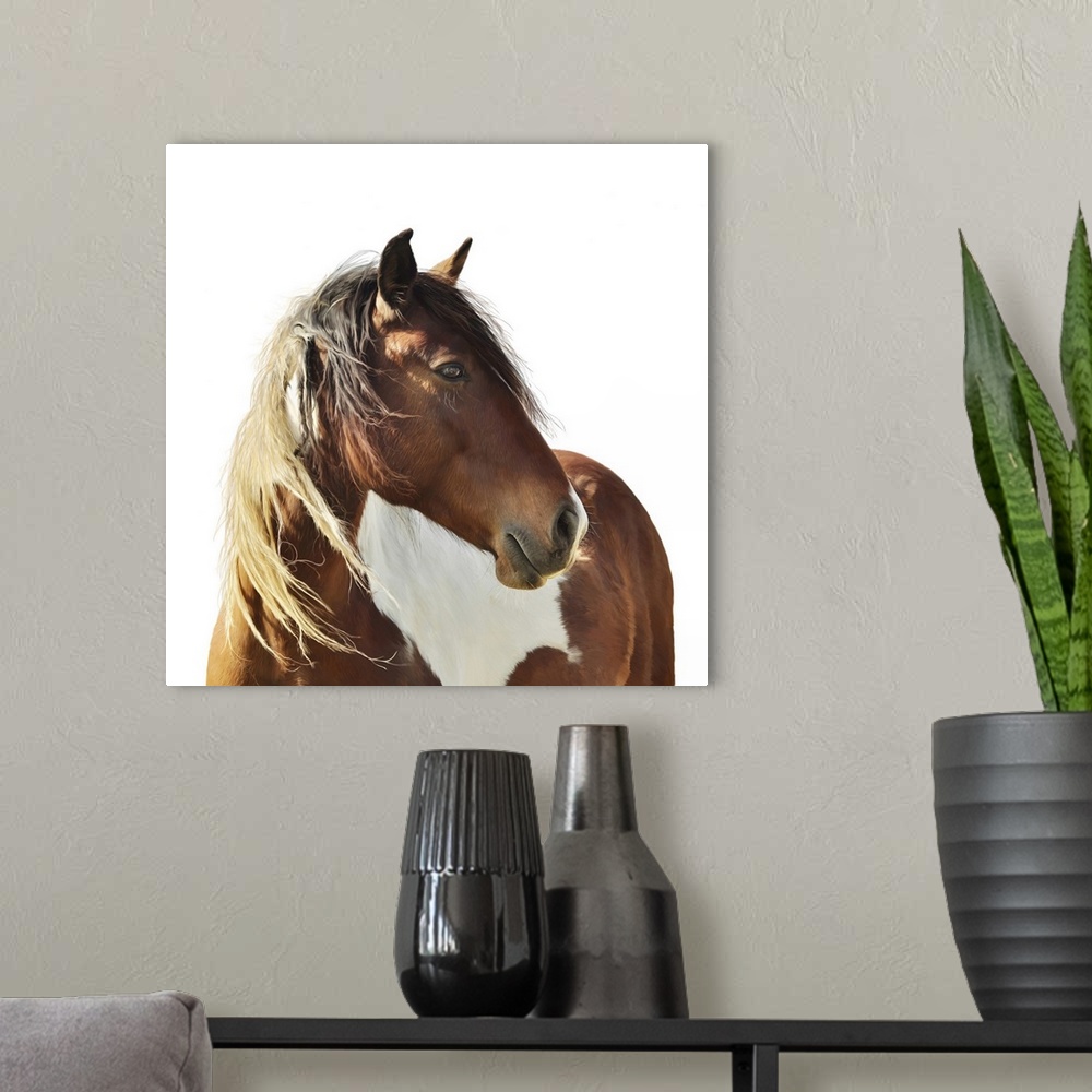 A modern room featuring Originally a digital painting of paint horse on white background.
