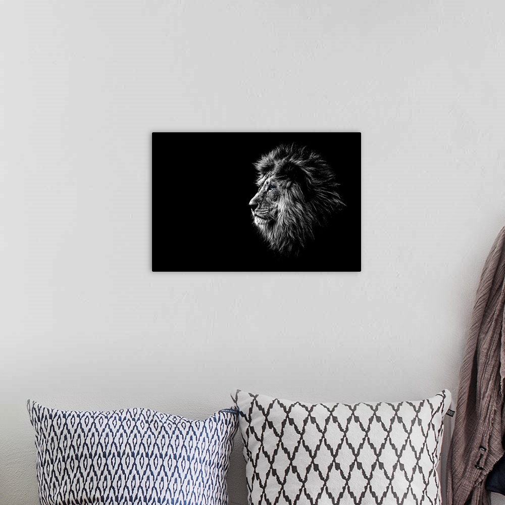 A bohemian room featuring Lion In Black And White With Blue Eyes