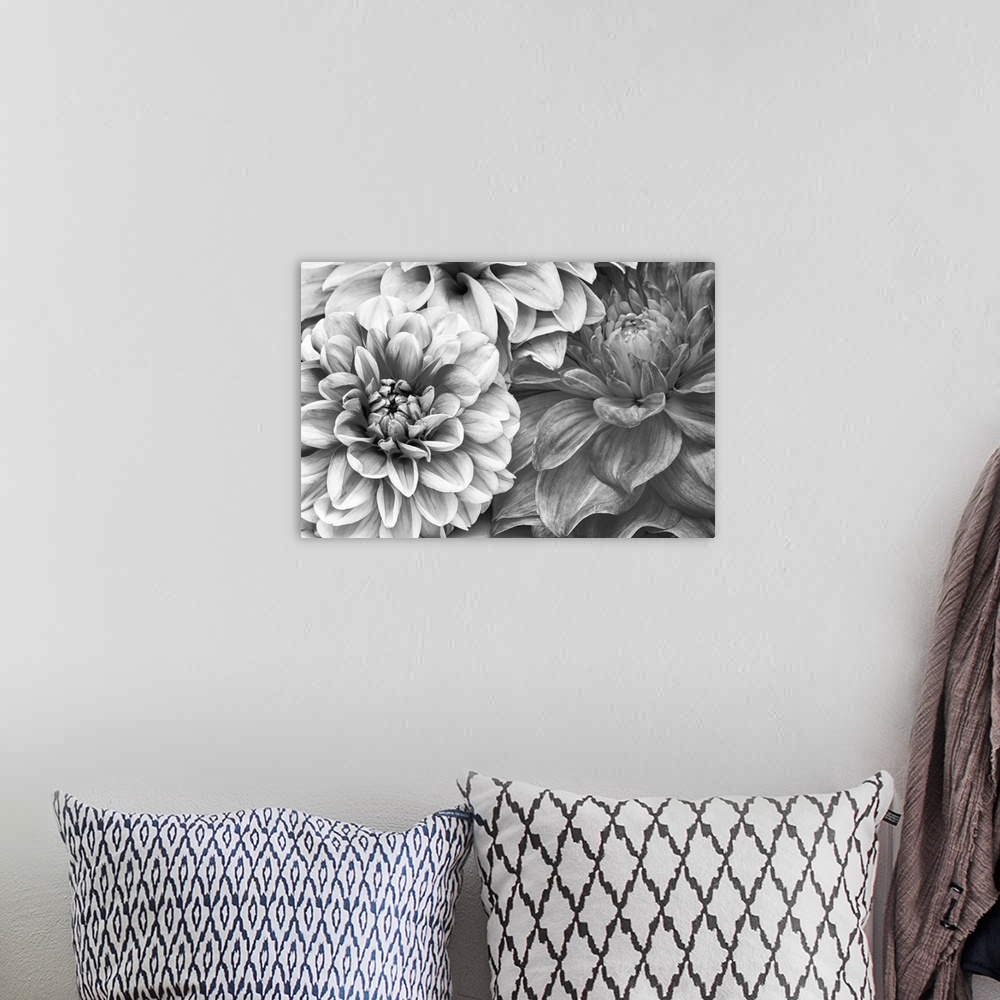 A bohemian room featuring A monochrome shot of a bunch of dahlia flowers.