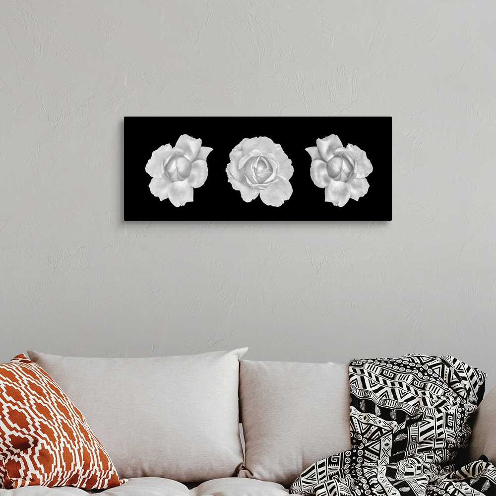 A bohemian room featuring Monochrome Rose Blossoms