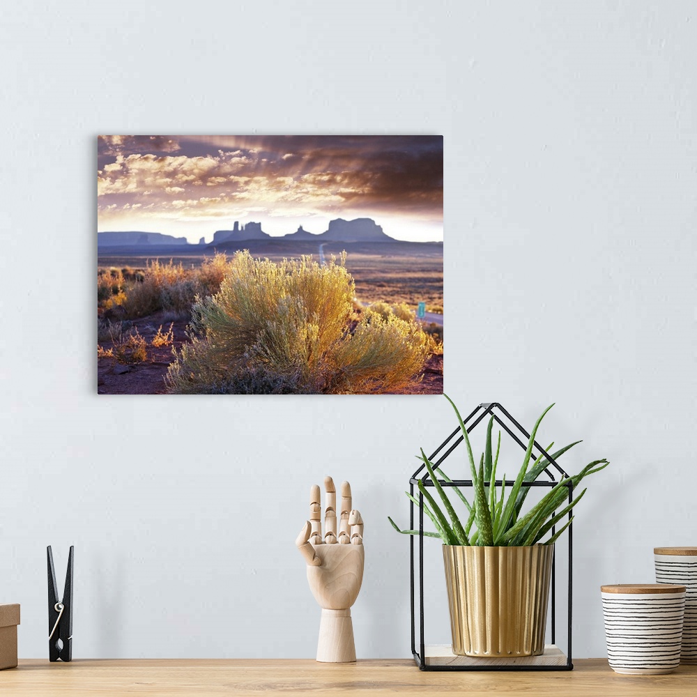 A bohemian room featuring Monument Valley, Utah