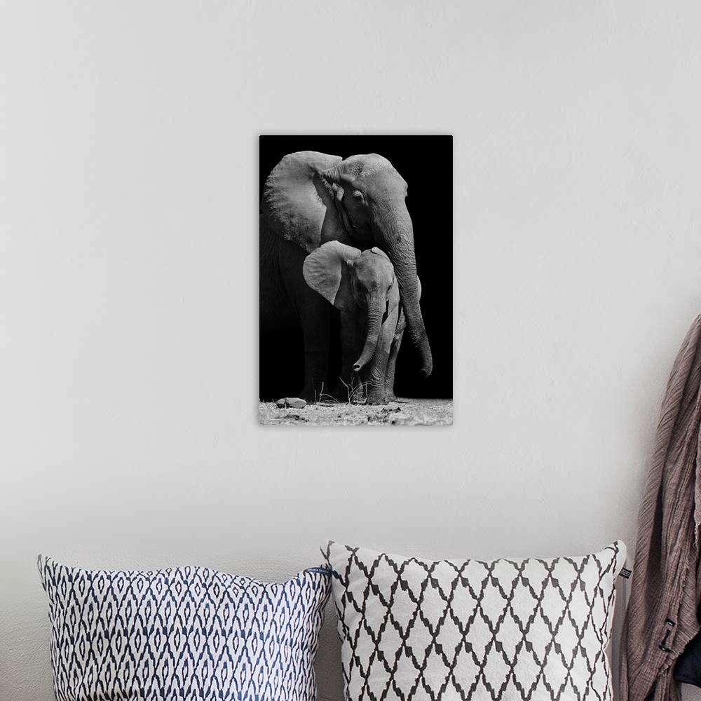 A bohemian room featuring Black and white image of a mother elephant protecting her baby.