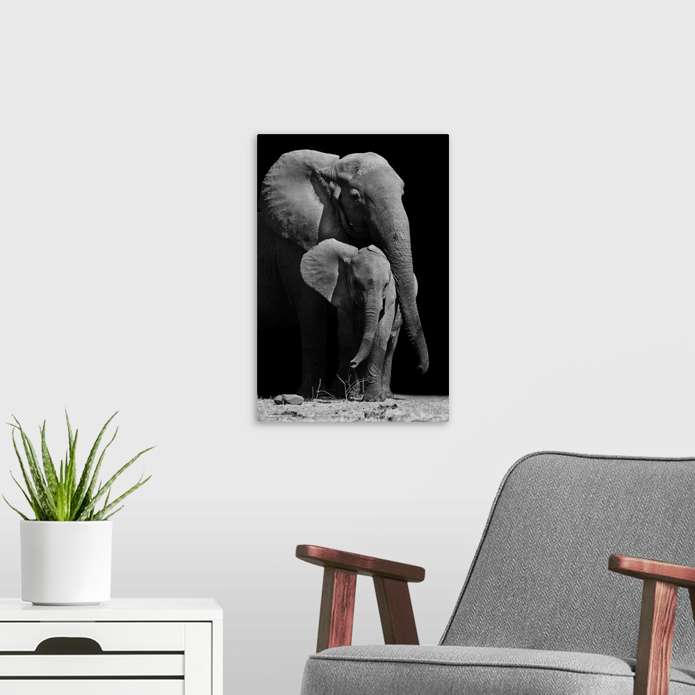 A modern room featuring Black and white image of a mother elephant protecting her baby.