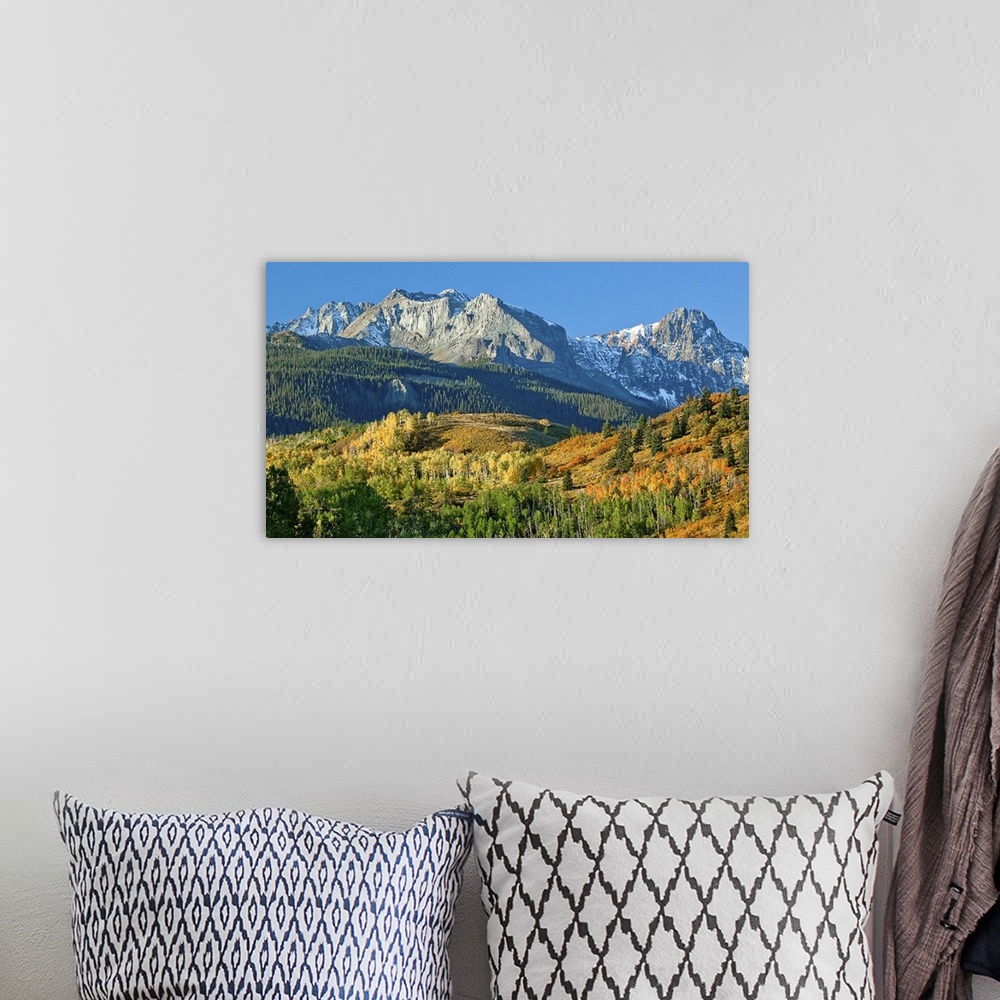 A bohemian room featuring A beautiful scenic view of Mount Sneffel at the peak of autumn, Ridgeway, Colorado.