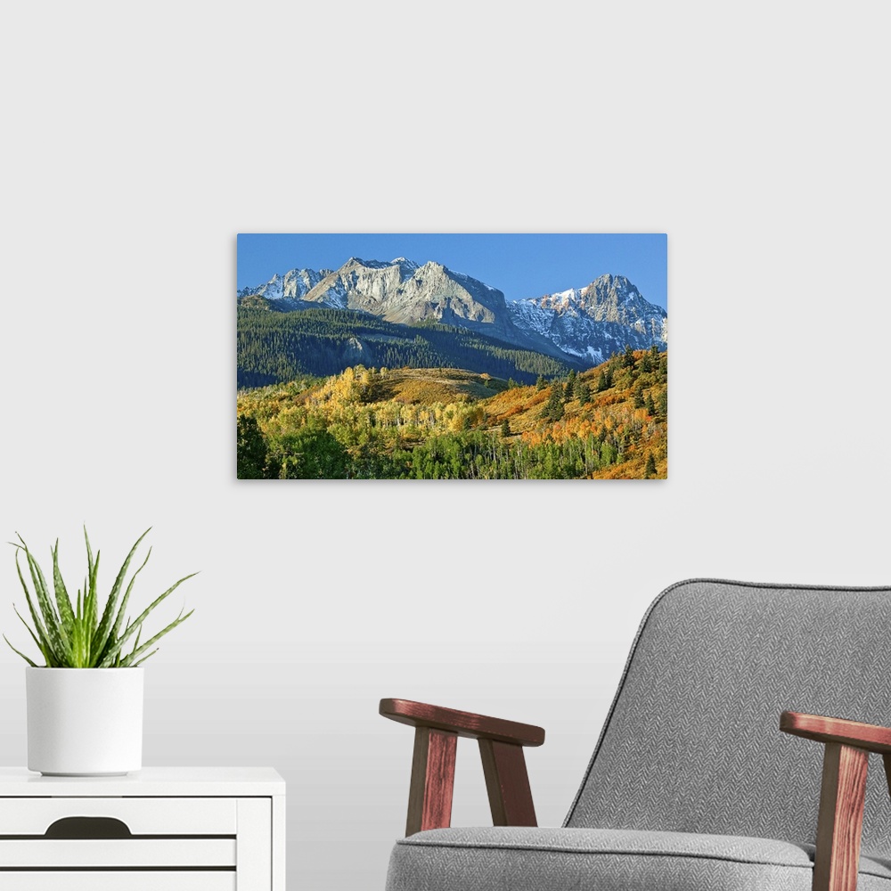 A modern room featuring A beautiful scenic view of Mount Sneffel at the peak of autumn, Ridgeway, Colorado.