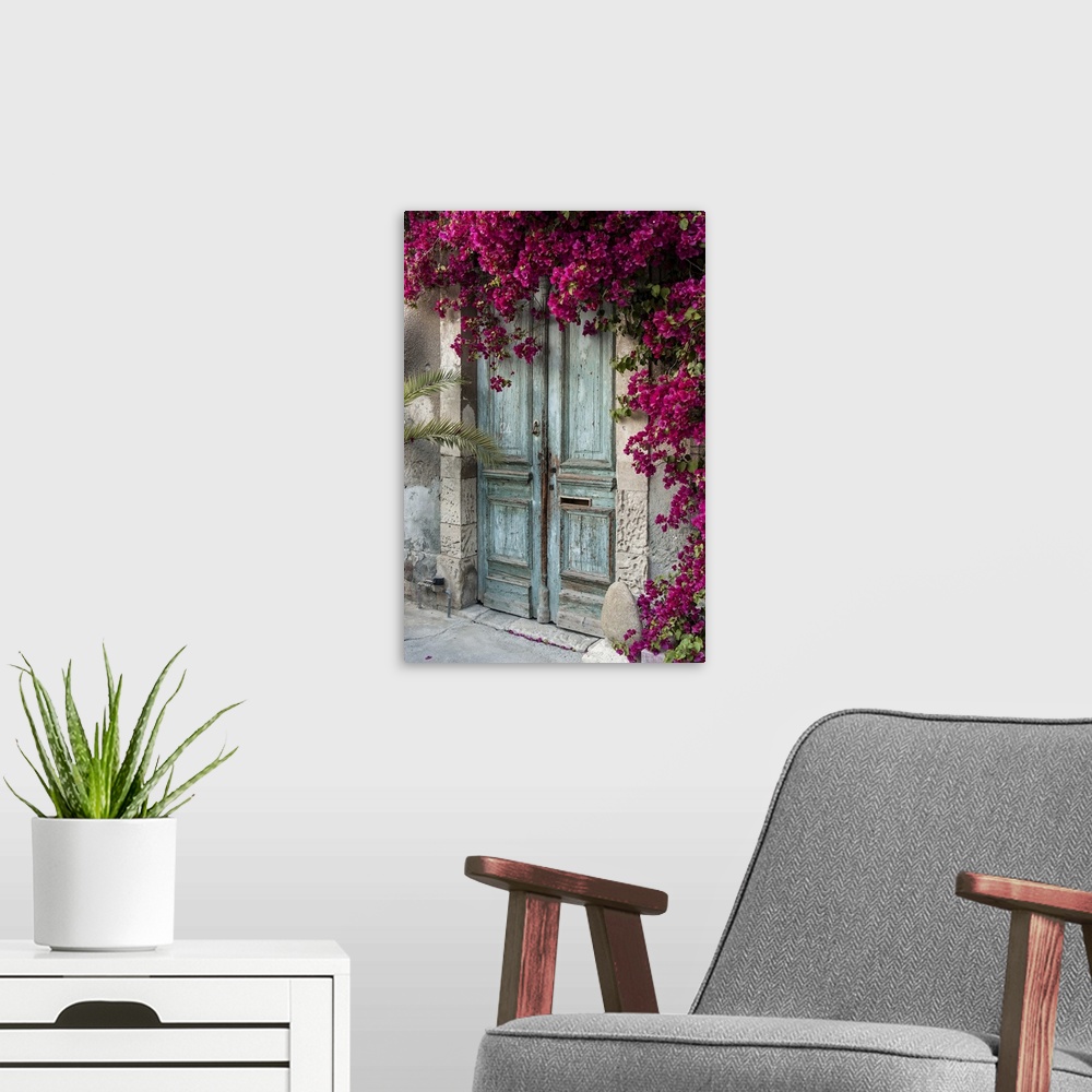 A modern room featuring Old wooden door with bougainvillea in Cyprus.
