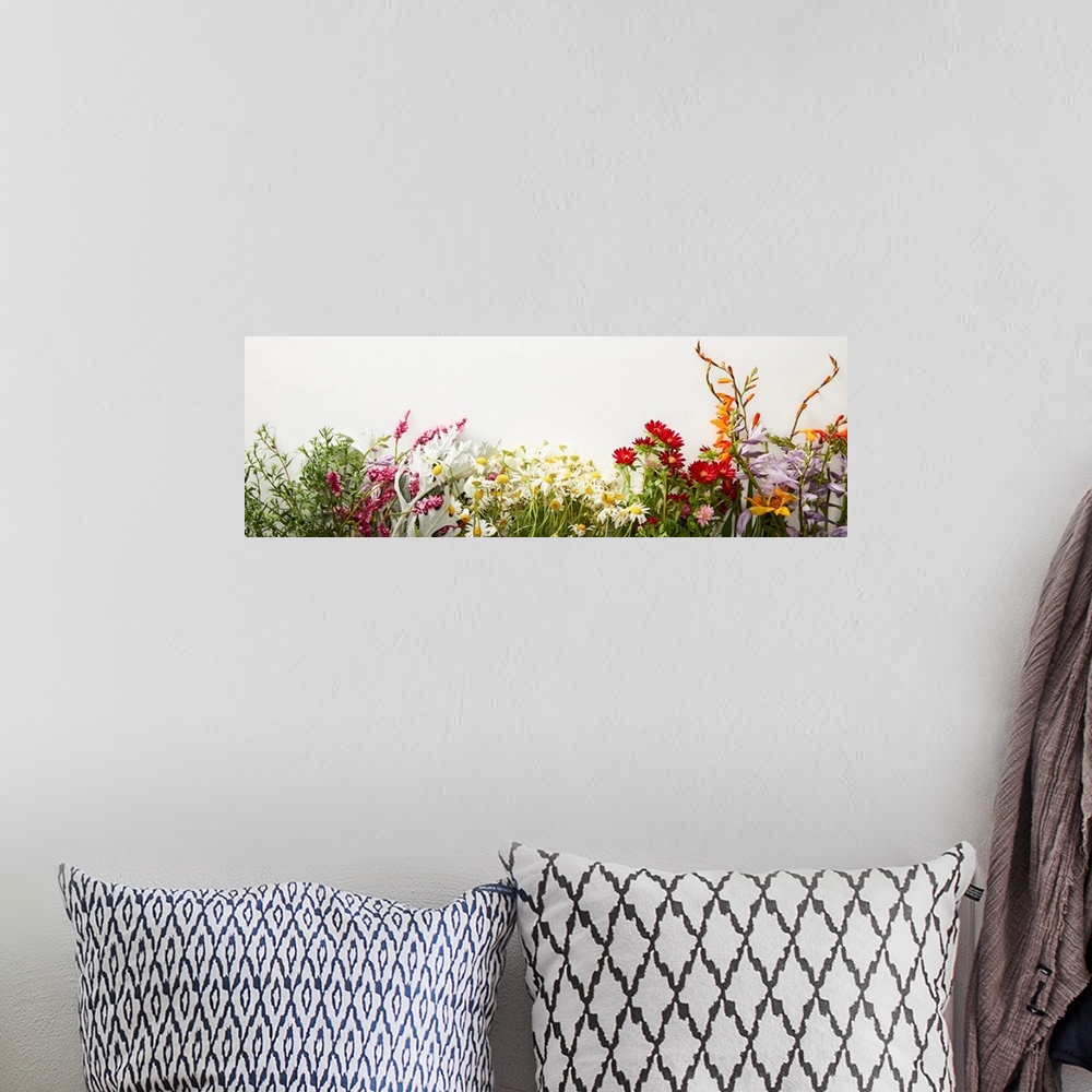 A bohemian room featuring Panoramic shot of bunches of diverse wildflowers on white background with copy space.