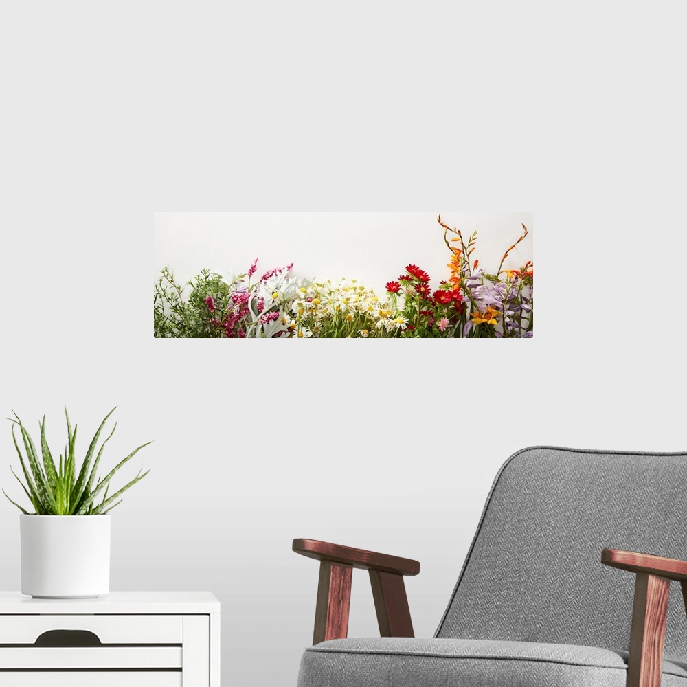 A modern room featuring Panoramic shot of bunches of diverse wildflowers on white background with copy space.