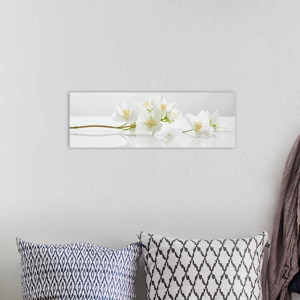 A bohemian room featuring Panoramic shot of jasmine flowers on white surface.