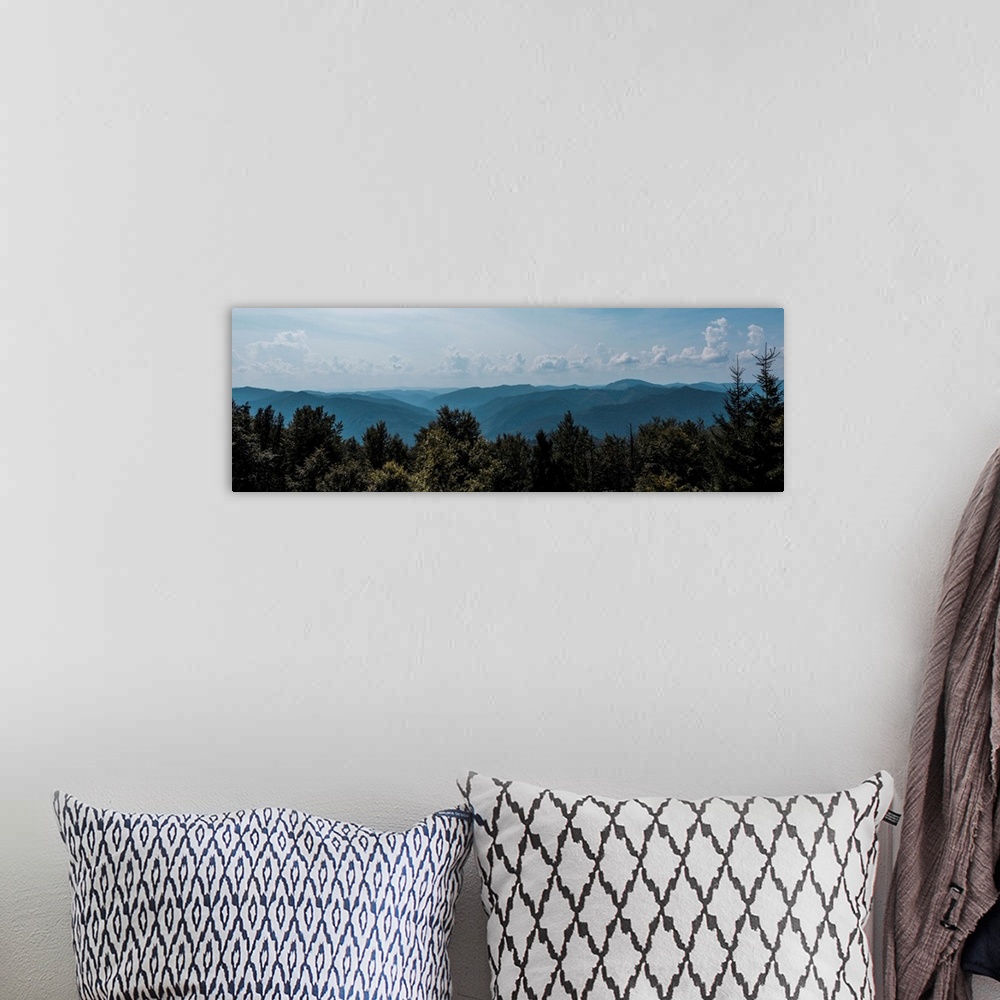 A bohemian room featuring Panoramic shot of trees and mountains against sky with clouds.