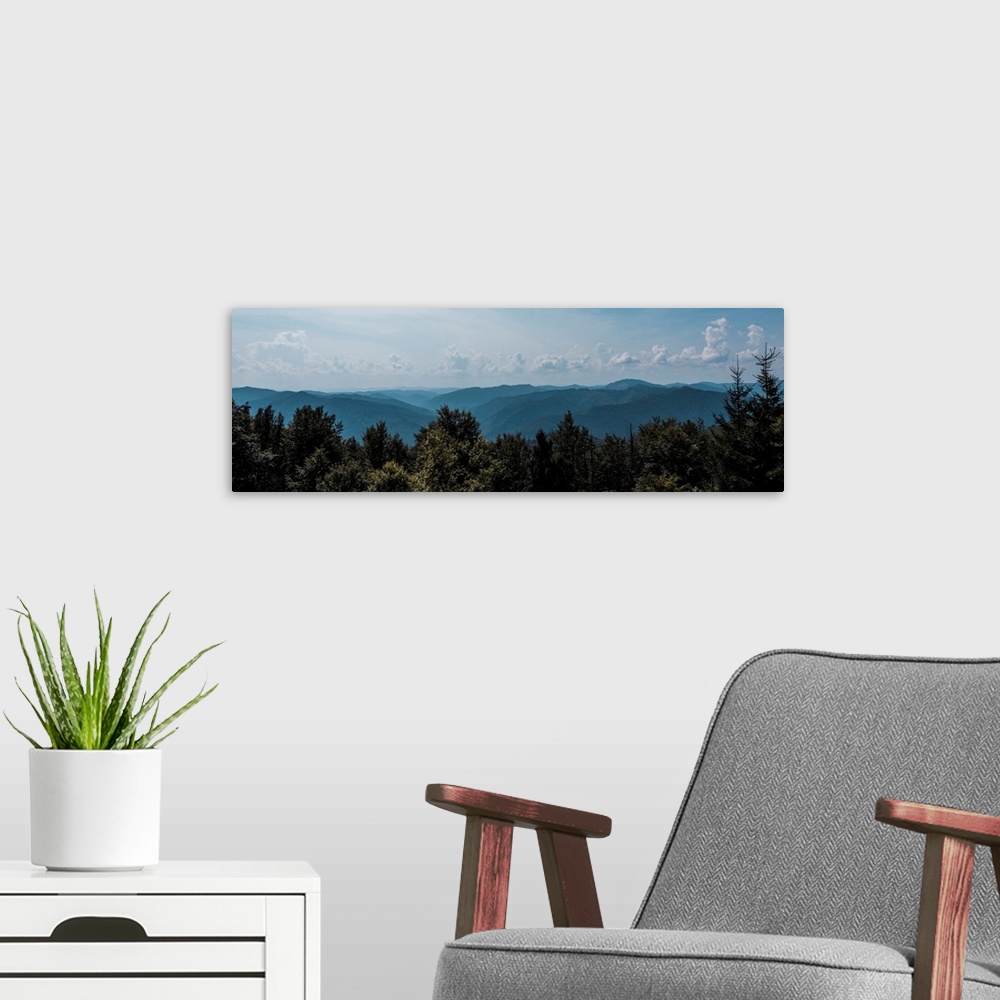 A modern room featuring Panoramic shot of trees and mountains against sky with clouds.