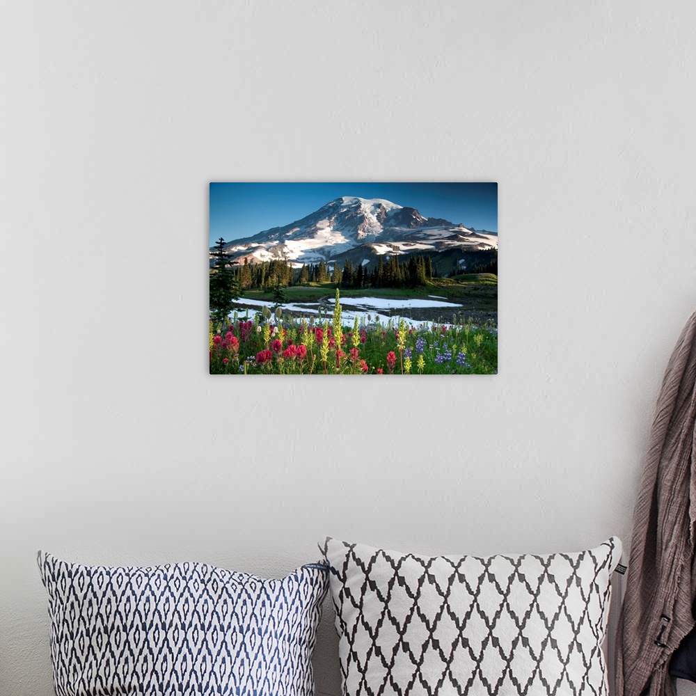 A bohemian room featuring Summer wildflowers blooming at Mt. Rainier national park.