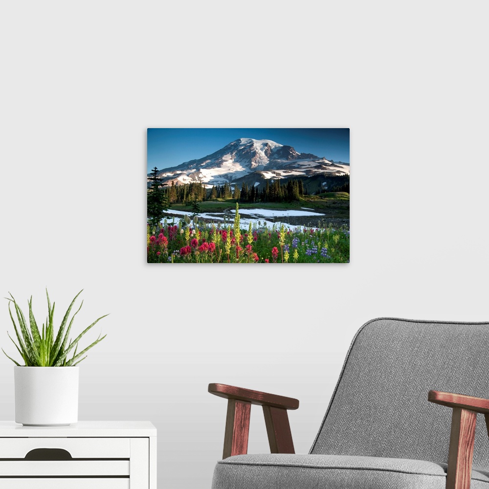 A modern room featuring Summer wildflowers blooming at Mt. Rainier national park.