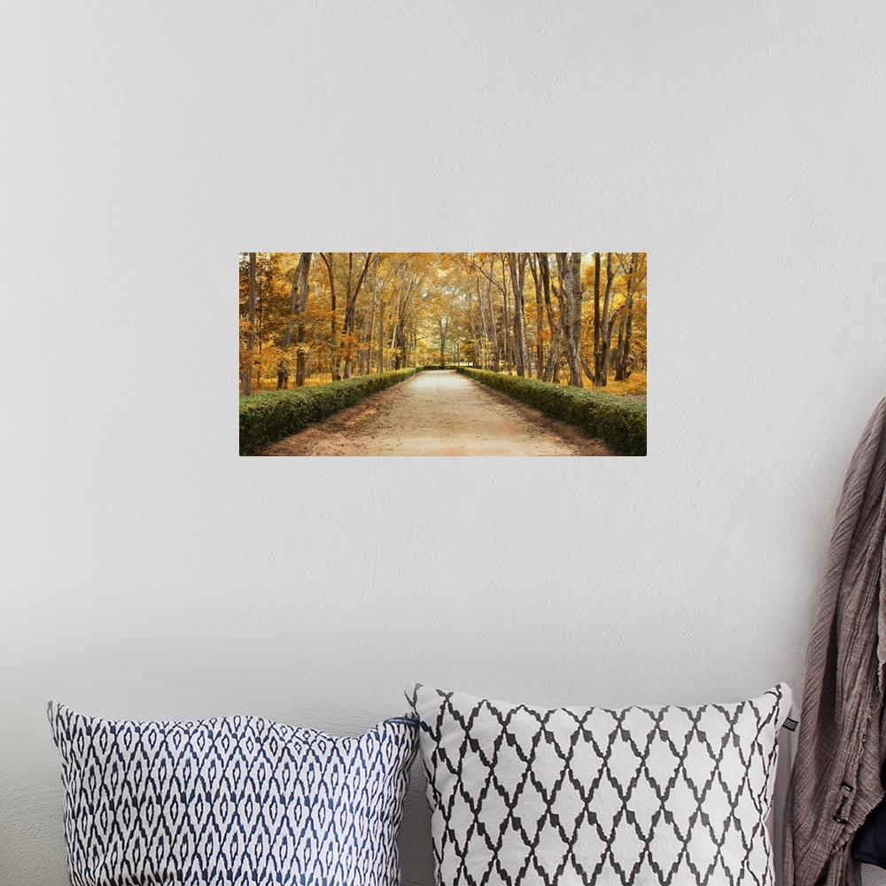 A bohemian room featuring Panoramic pathway in beautiful autumn park landscape.