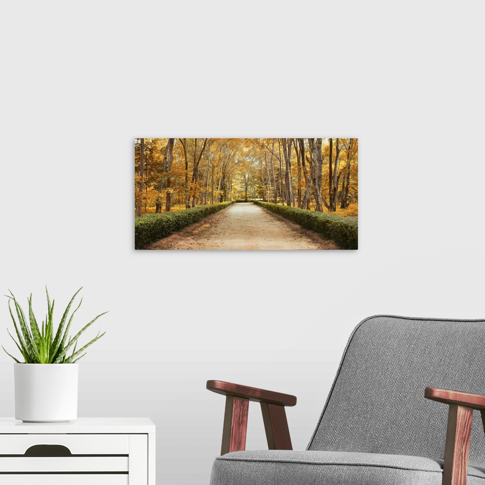 A modern room featuring Panoramic pathway in beautiful autumn park landscape.