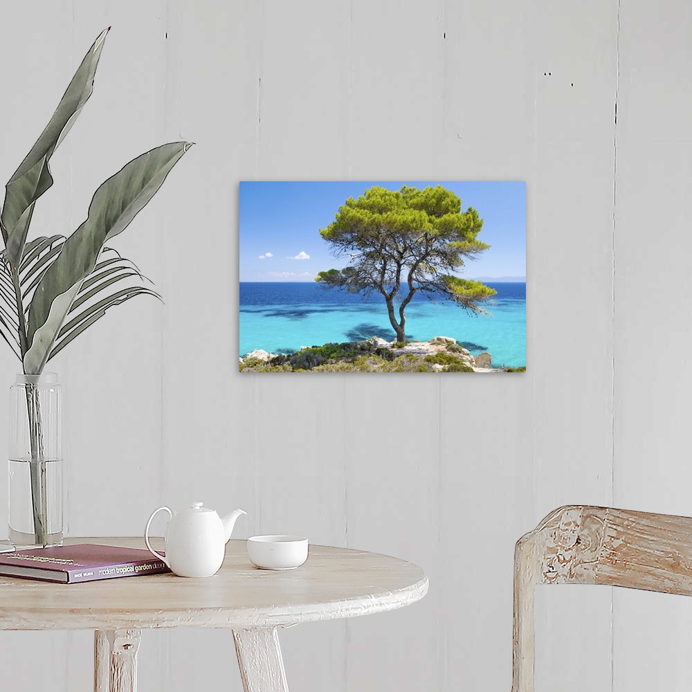 A farmhouse room featuring Pine forest tree by the sea in Halkidiki, Greece.