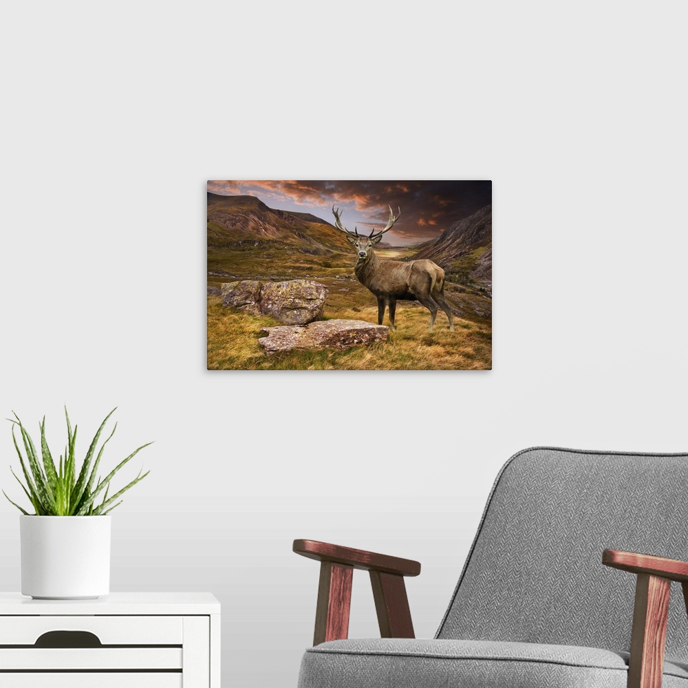 A modern room featuring Dramatic sunset with a beautiful sky over a mountain range. A strong moody landscape and red deer...