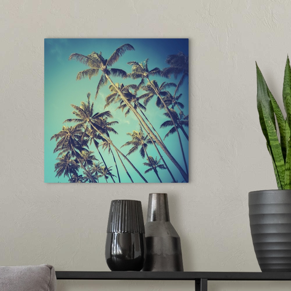 A modern room featuring Retro vintage style photo of diagonal palm trees in Hawaii.