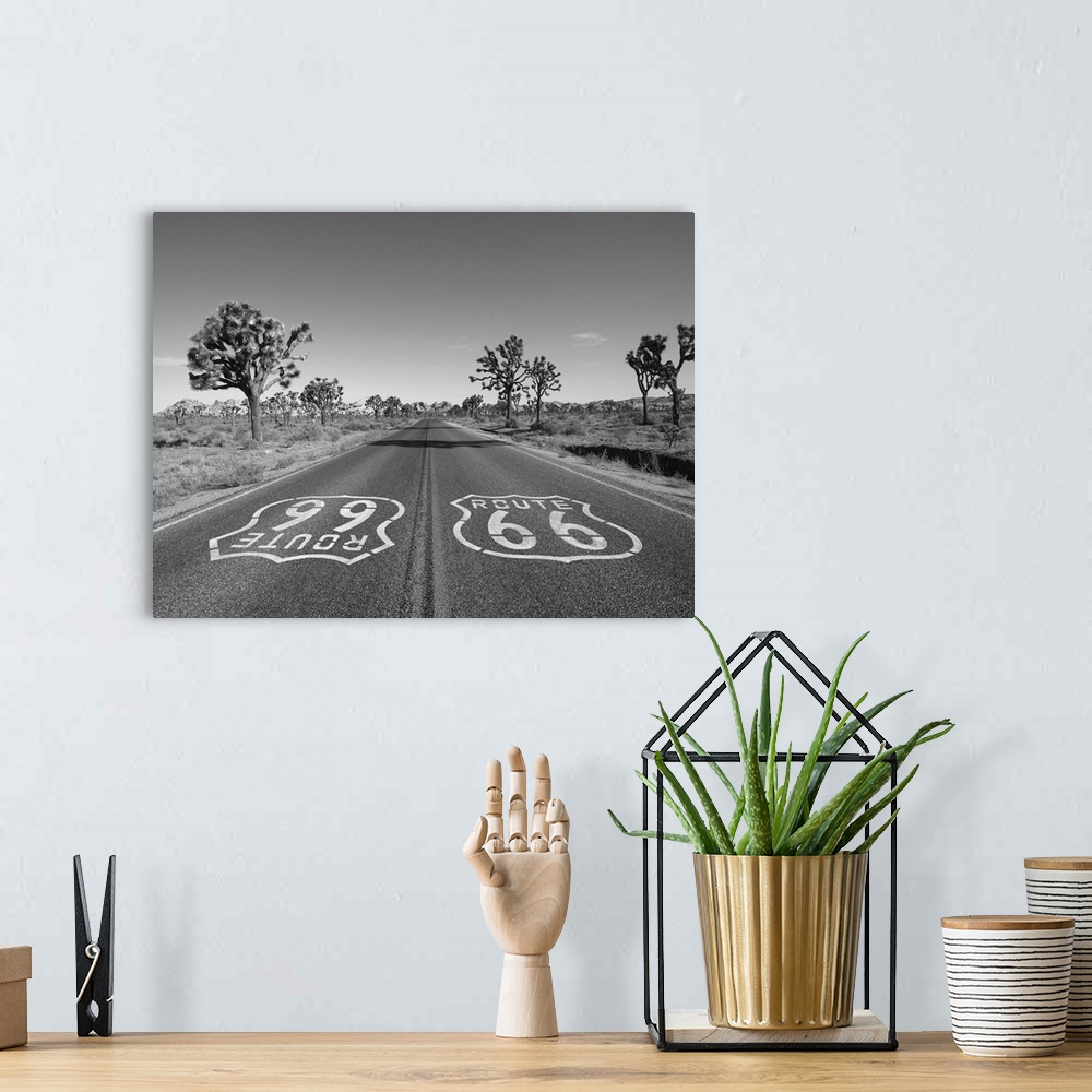 A bohemian room featuring Mojave desert route 66 pavement sign with Joshua trees in black and white.