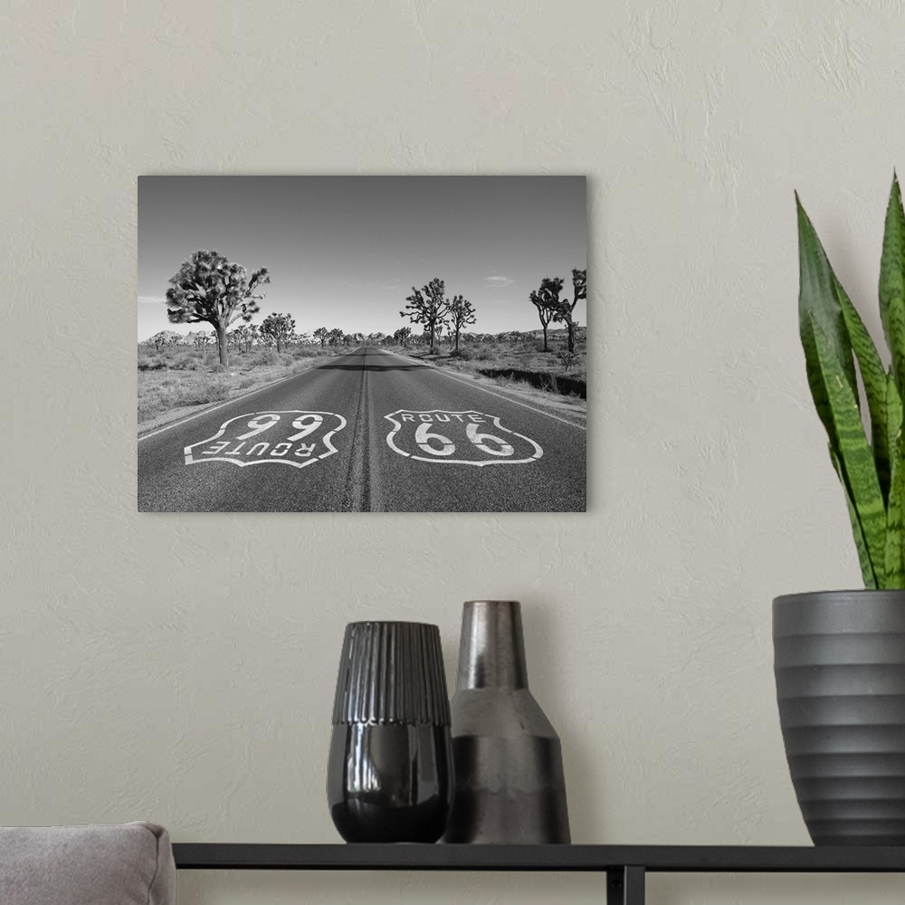 A modern room featuring Mojave desert route 66 pavement sign with Joshua trees in black and white.