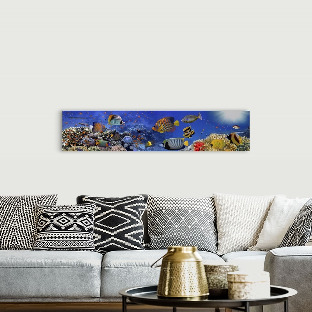 A bohemian room featuring Sea Corals Panorama