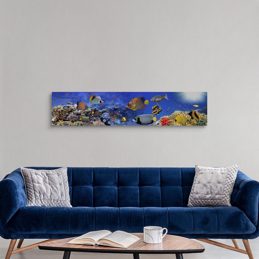A modern room featuring Sea Corals Panorama