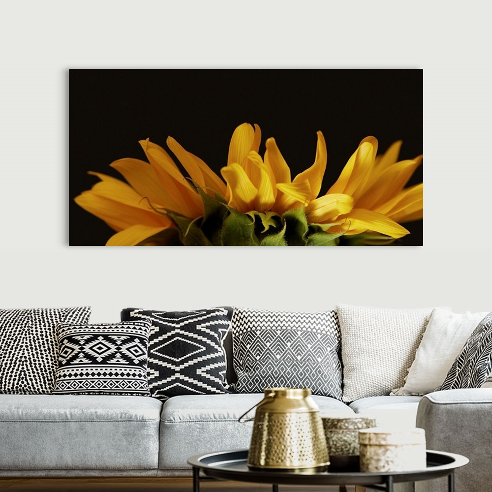 A bohemian room featuring Side View Of Yellow Sunflower Petals