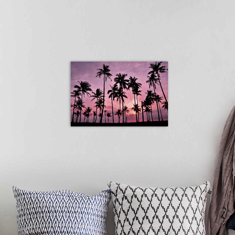 A bohemian room featuring Silhouetted of coconut tree during sunset.