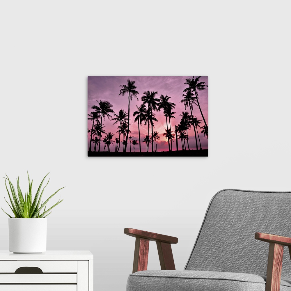 A modern room featuring Silhouetted of coconut tree during sunset.