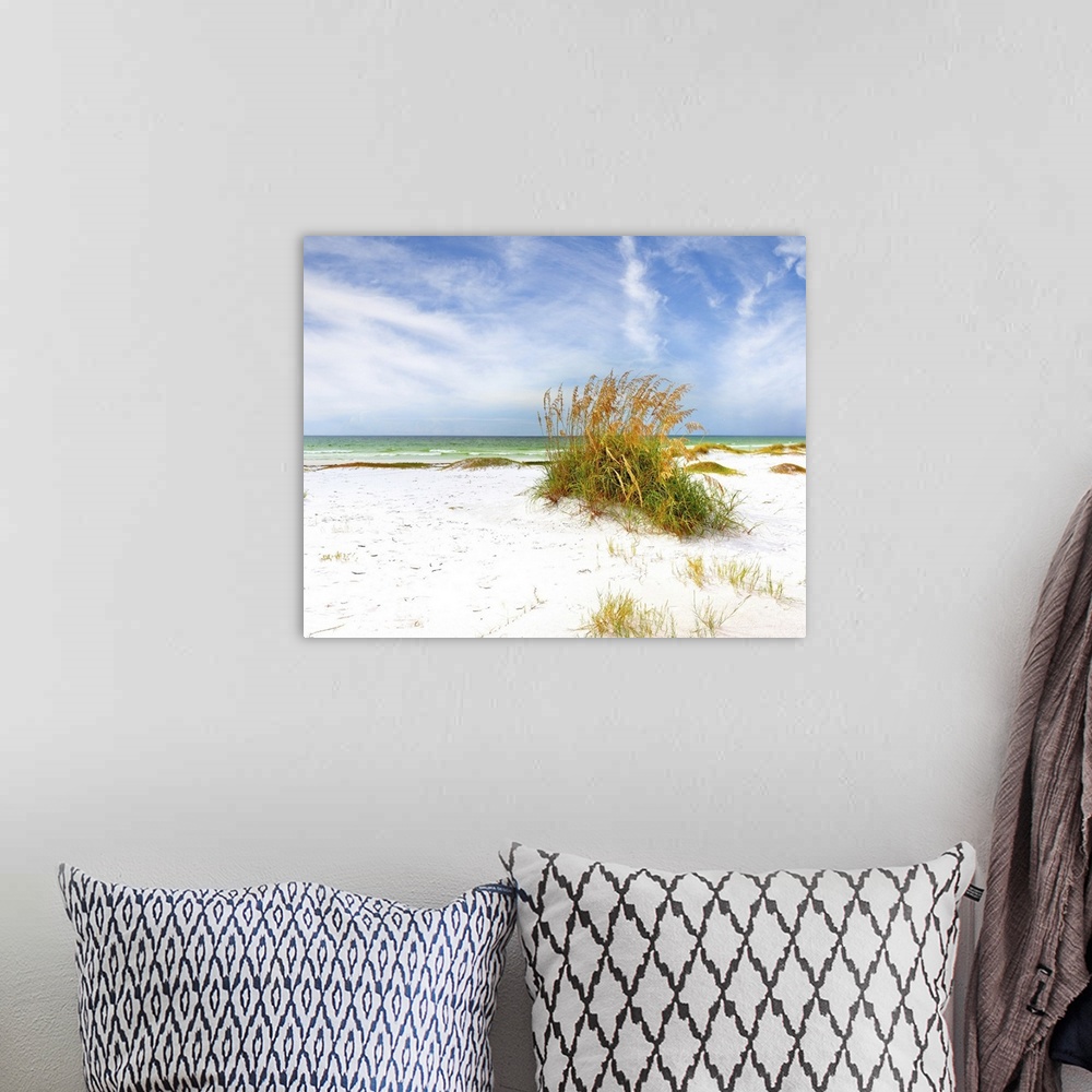 A bohemian room featuring Summer landscape with sea oats and grass dunes on a beautiful Florida beach.