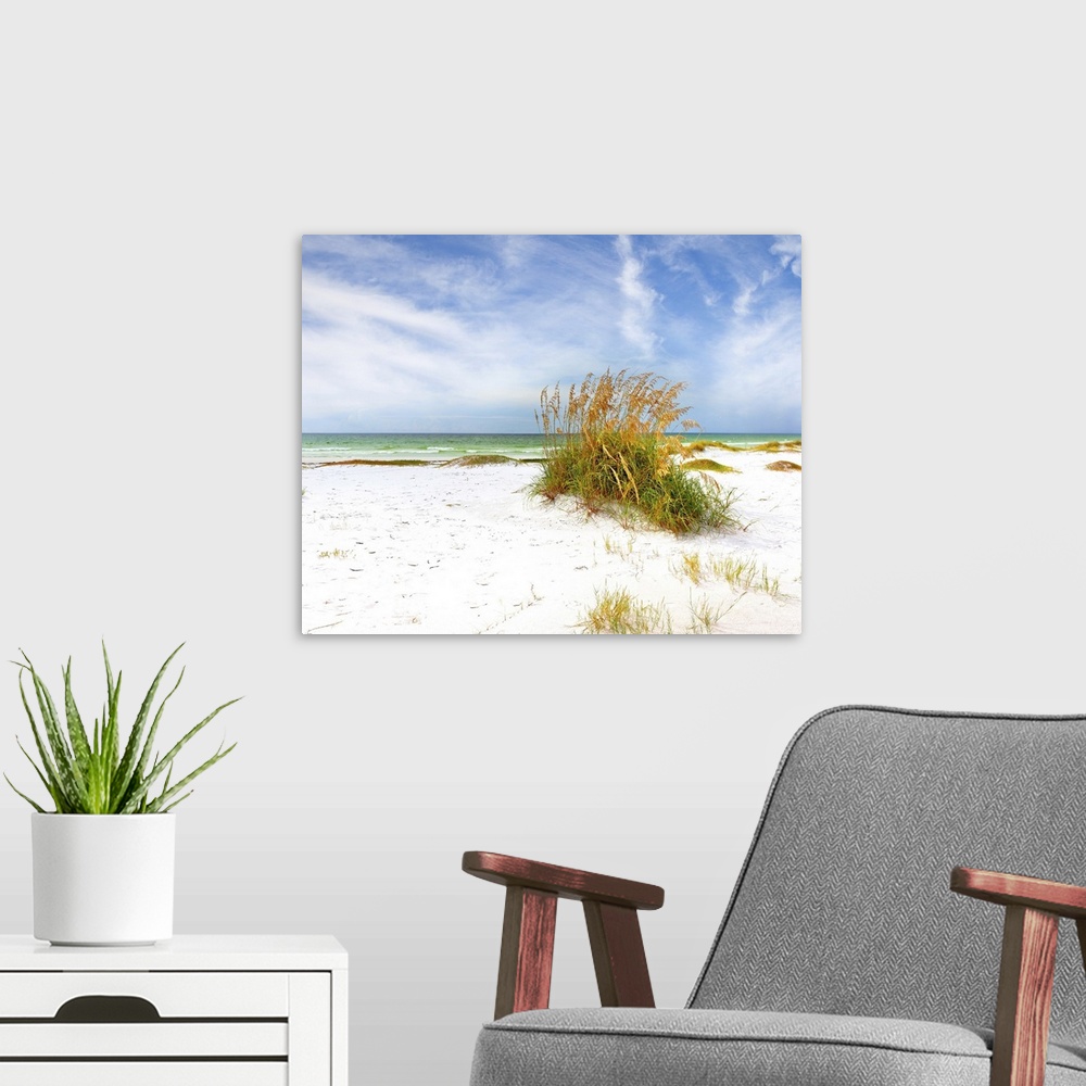 A modern room featuring Summer landscape with sea oats and grass dunes on a beautiful Florida beach.