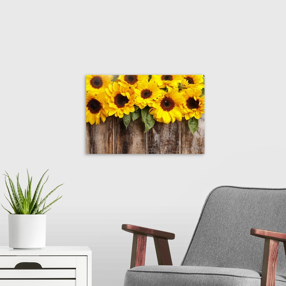 A modern room featuring Sunflowers on wooden background.